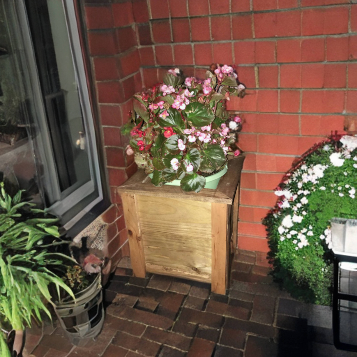 planter
